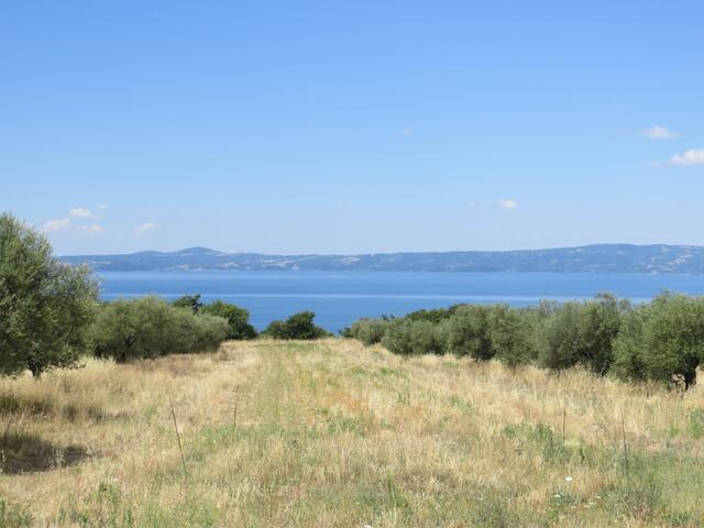 immer wieder dieser traumhafte Ausblick auf den Lago di Bolsena