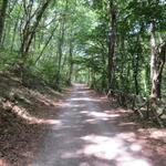 wir durchwandern schöne Wälder