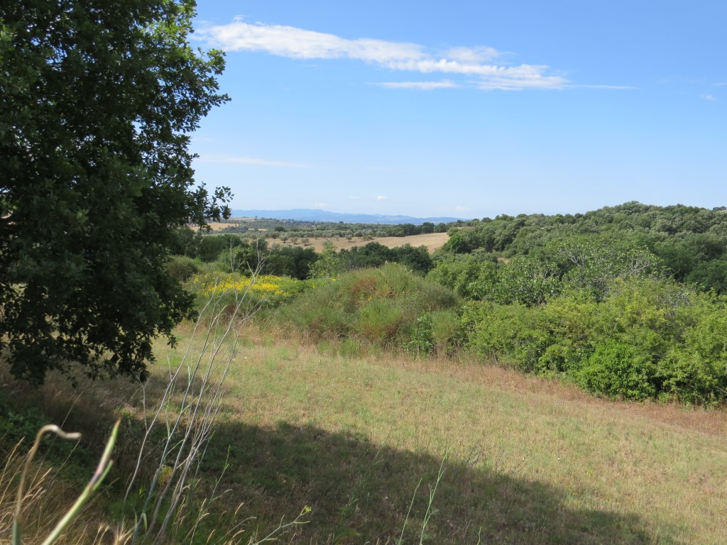 und die Landschaft ist sehr schön