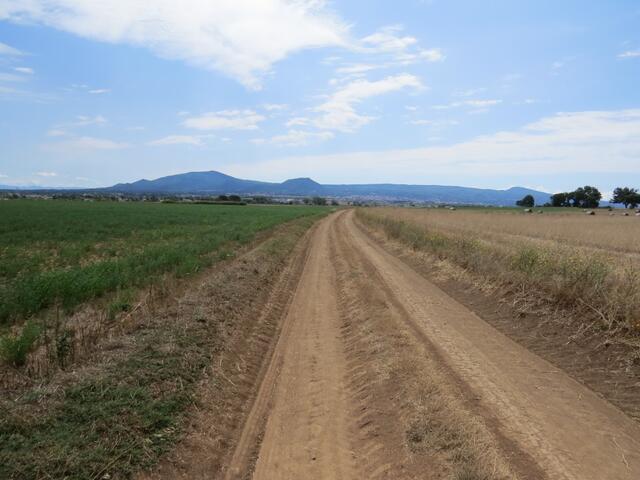 am Horizont erkennen wir Viterbo