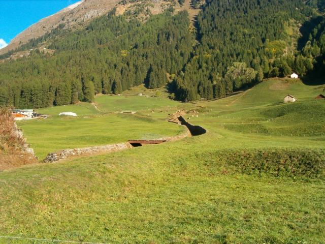 Alpweiden bei Airolo