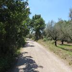 auf guten Wegen abseits der grossen Verkehrswege, geht es weiter Richtung Vetralla