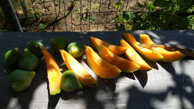 es gibt Feigen, Melone und Schinken