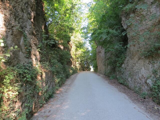 wie am Vortag laufen wir durch ein Hohlweg der durch das Tuffgestein geschlagen wurde