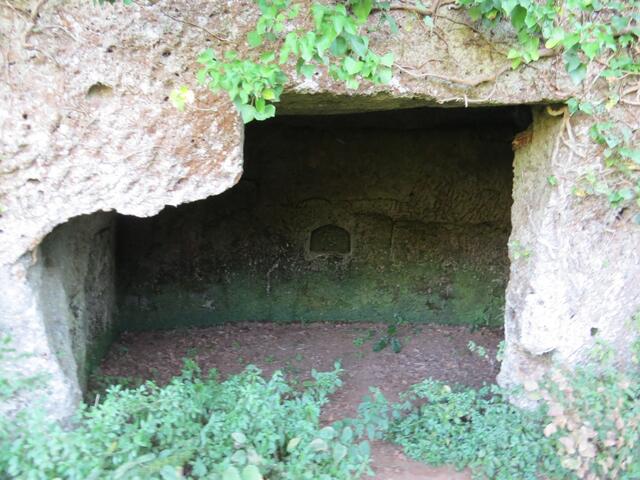 immer wieder tauchen nun von den Etrusker in den Tuffstein gebaute Höhlen auf