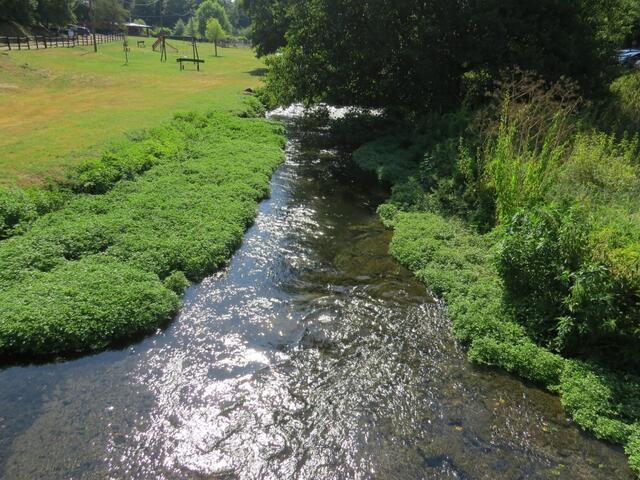 wir lassen es uns nicht nehmen, die Füsse im Fluss Treja abzukühlen