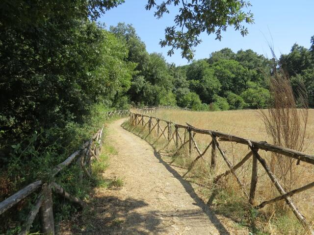 über ein sehr schön angelegter Weg durchlaufen wir diesen Park