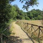 über ein sehr schön angelegter Weg durchlaufen wir diesen Park