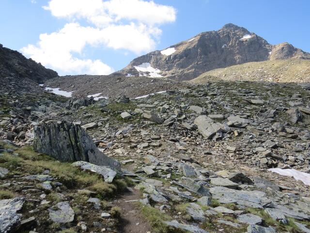 IMG_8475.JPG