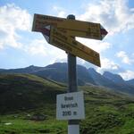 IMG_8586.JPG