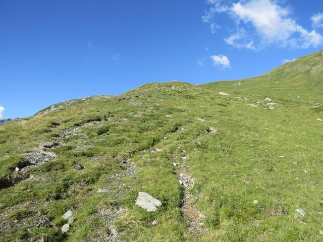 IMG_8915.JPG