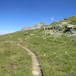 IMG_8935.JPG
