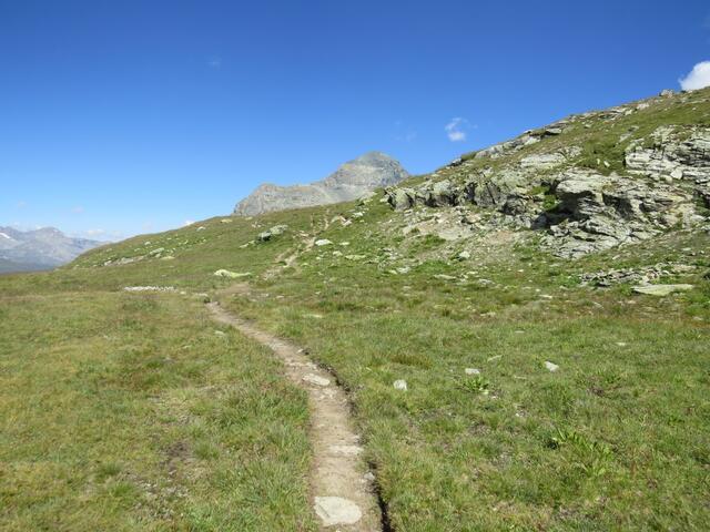 IMG_8935.JPG