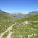 IMG_8873.JPG