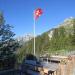 IMG_8703.JPG