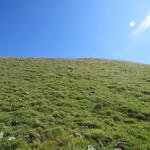 IMG_8737.JPG