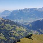 IMG_8765.jpg