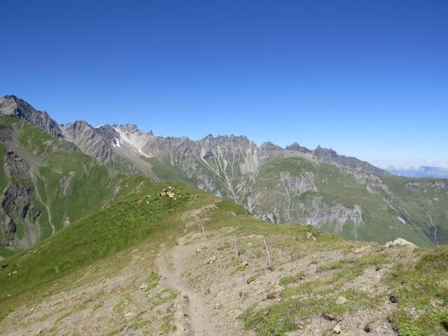 IMG_8794.JPG