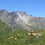 IMG_8795.JPG