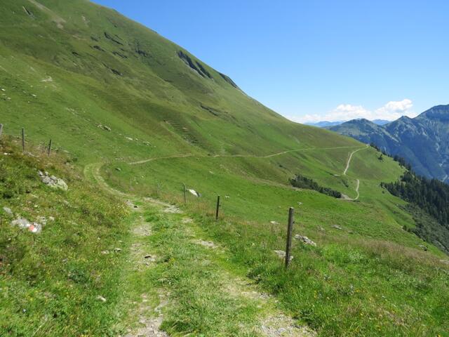 IMG_8805.JPG