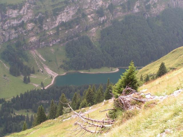 Blick runter zum Seealpsee