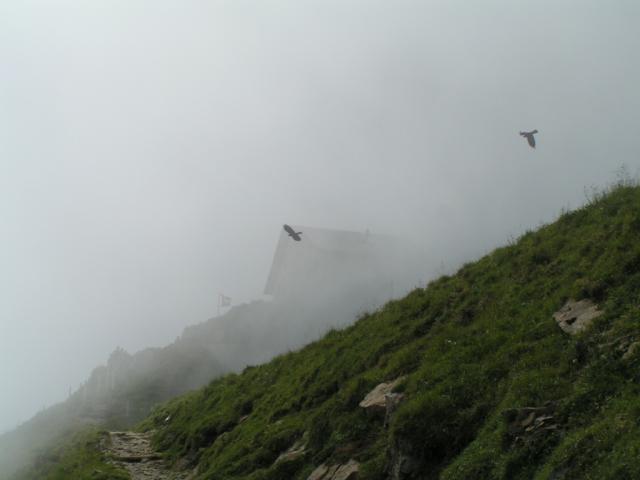 Aussicht vom Schäfler 1912 m.ü.M.