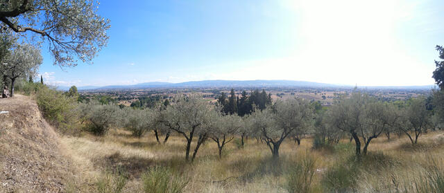 San Damiano liegt ca. 20 Minuten Fussweg unterhalb von Assisi inmitten von Feldern und Olivenbäumen