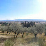 San Damiano liegt ca. 20 Minuten Fussweg unterhalb von Assisi inmitten von Feldern und Olivenbäumen