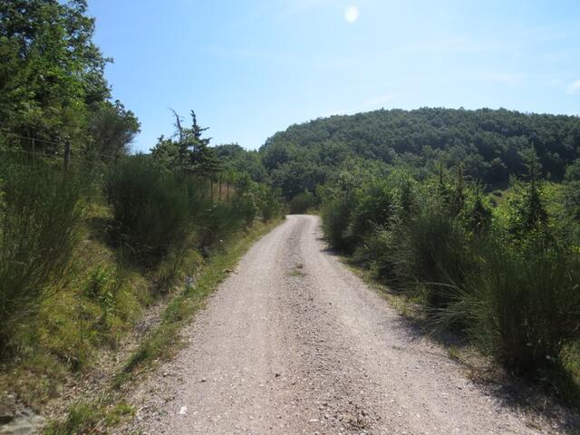 wunderschön schlängelt sich der Weg durch die grüne Landschaft