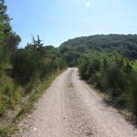 wunderschön schlängelt sich der Weg durch die grüne Landschaft