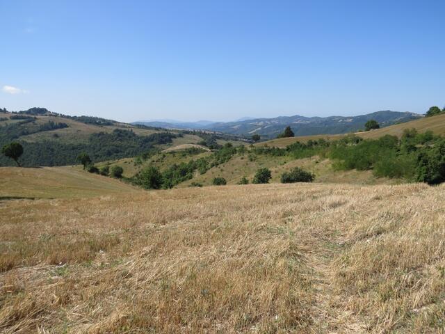 irgendwo dort vorne am Horizont liegt Assisi