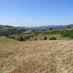 irgendwo dort vorne am Horizont liegt Assisi