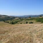 irgendwo dort vorne am Horizont liegt Assisi