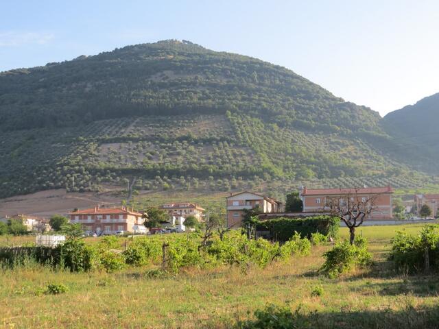 auf dem ganzen Berghang wurden Olivenbäume bepflanzt