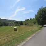 wir lassen Ponte d'Assi hinter uns und laufen über eine Landstrasse mit wenig Verkehr Richtung Valdichiascio