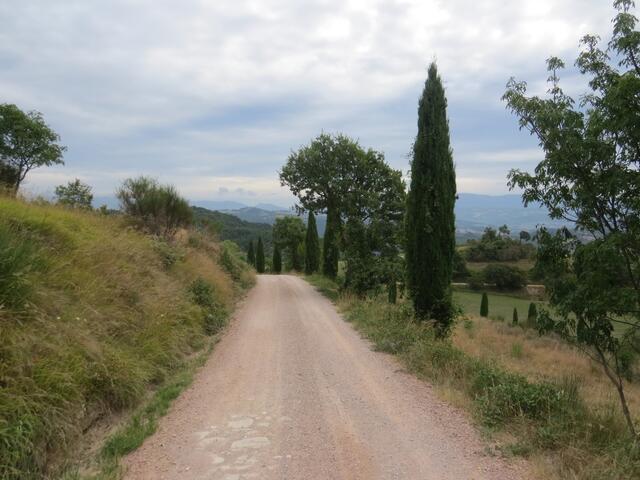 auf dem Weg Richtung Santa Maria della Ripa