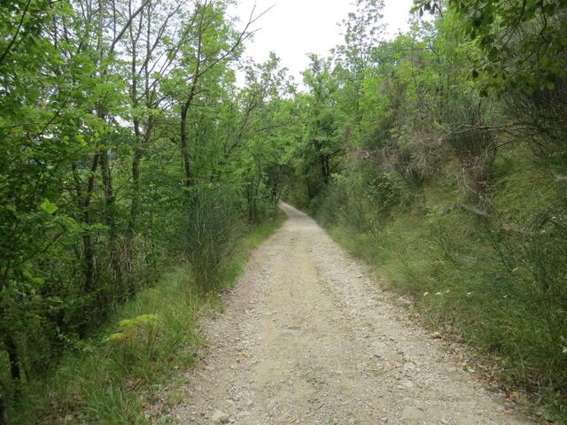 auf dem Weg zur Kirche von Caprignone