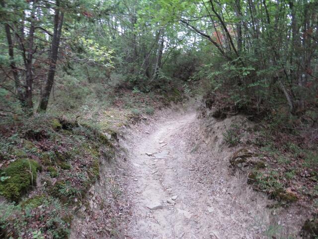 nach einer längeren Regenperiode in diesem Dschungel zu wandern ein einziges Schlammloch