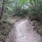 nach einer längeren Regenperiode in diesem Dschungel zu wandern ein einziges Schlammloch