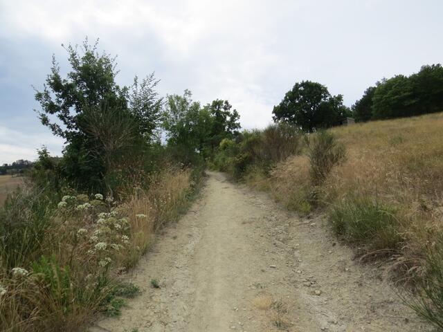 wir treten aus dem Waldschatten heraus und wandern schweisstreibend aufwärts Richtung Castello di Biscina