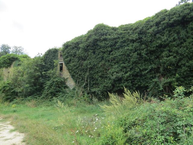 die ehemaligen Befestigungsanlagen wurden von Mutter Natur zurückerobert