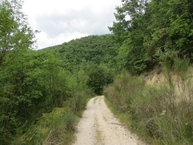 der Weg führt nach dem Schloss immer am Waldrand entlang weiter