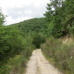 der Weg führt nach dem Schloss immer am Waldrand entlang weiter