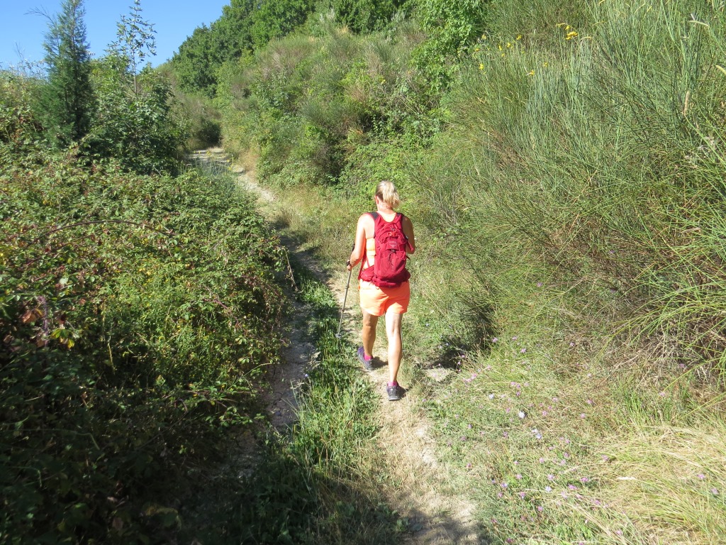 am Waldrand entlang gewinnen wir leicht an Höhe