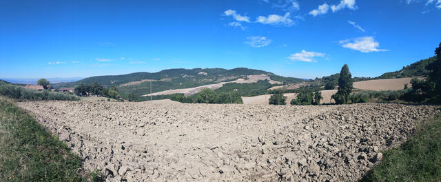 ...und das schöne Panorama