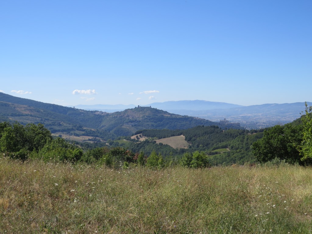 zwischen den Olivenbäumen ist nun Assisi mit der Burgruine Rocca Maggiore sehr gut ersichtlich