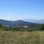 zwischen den Olivenbäumen ist nun Assisi mit der Burgruine Rocca Maggiore sehr gut ersichtlich