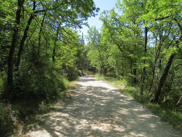 die Kiesstrasse führt uns nun in ein kleines Tal hinunter