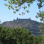 wir blicken hinauf zur mittelalterlichen Festung Rocca Maggiore