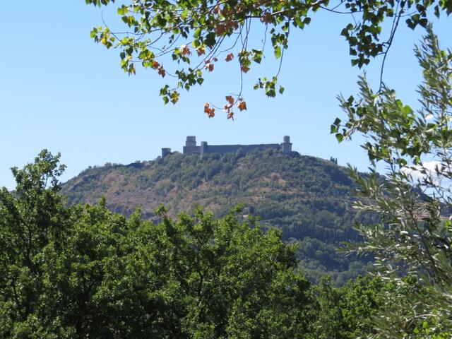 wir blicken hinauf zur mittelalterlichen Festung Rocca Maggiore